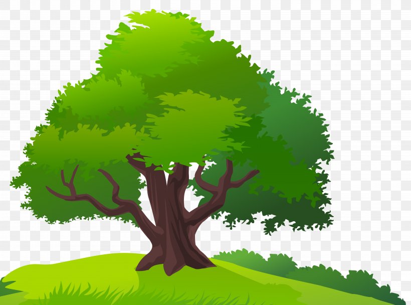 Tree Lawn Clip Art, PNG, 5860x4349px, Tree, Biome, Branch, Cartoon, Drawing Download Free