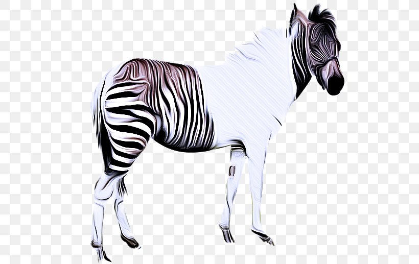 Zebra Cartoon, PNG, 600x517px, Mane, Animal Figure, Drawing, Horse, Horse Tack Download Free
