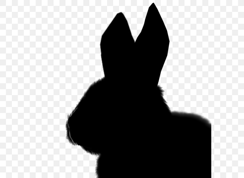 Domestic Rabbit Dog Fur Mammal Canidae, PNG, 600x599px, Domestic Rabbit, Black, Black M, Blackandwhite, Canidae Download Free