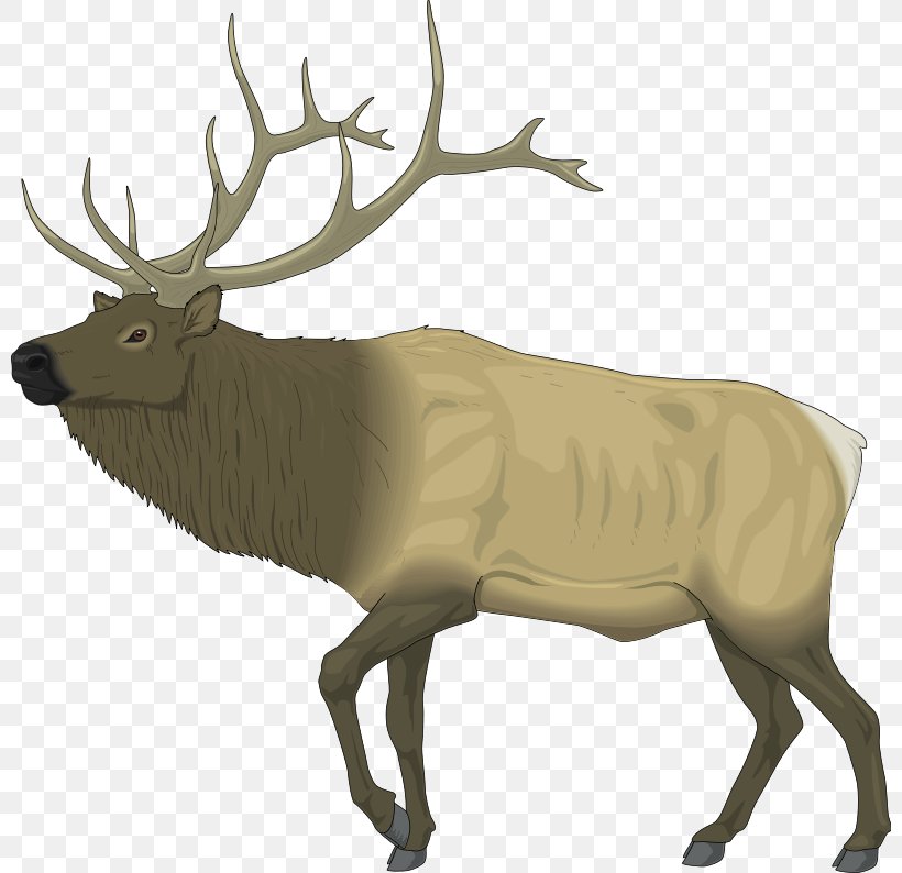Elk Deer Free Content Drawing Clip Art, PNG, 800x794px, Elk, Antler, Blog, Cattle Like Mammal, Deer Download Free