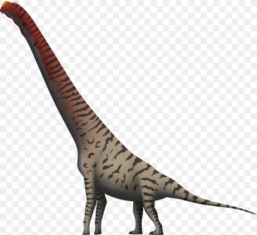 Giraffatitan Brachiosaurus Velociraptor Giraffe Cedarosaurus, PNG, 935x854px, Giraffatitan, Animal Figure, Brachiosauridae, Brachiosaurus, Camarasaurus Download Free