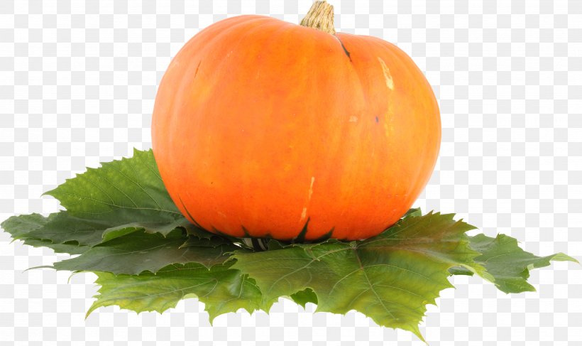 Pumpkin Pie Cucurbita Pepo Jack-o'-lantern, PNG, 3499x2081px, Pumpkin, Atlanta Falcons, Calabaza, Cucumber Gourd And Melon Family, Cucurbita Download Free
