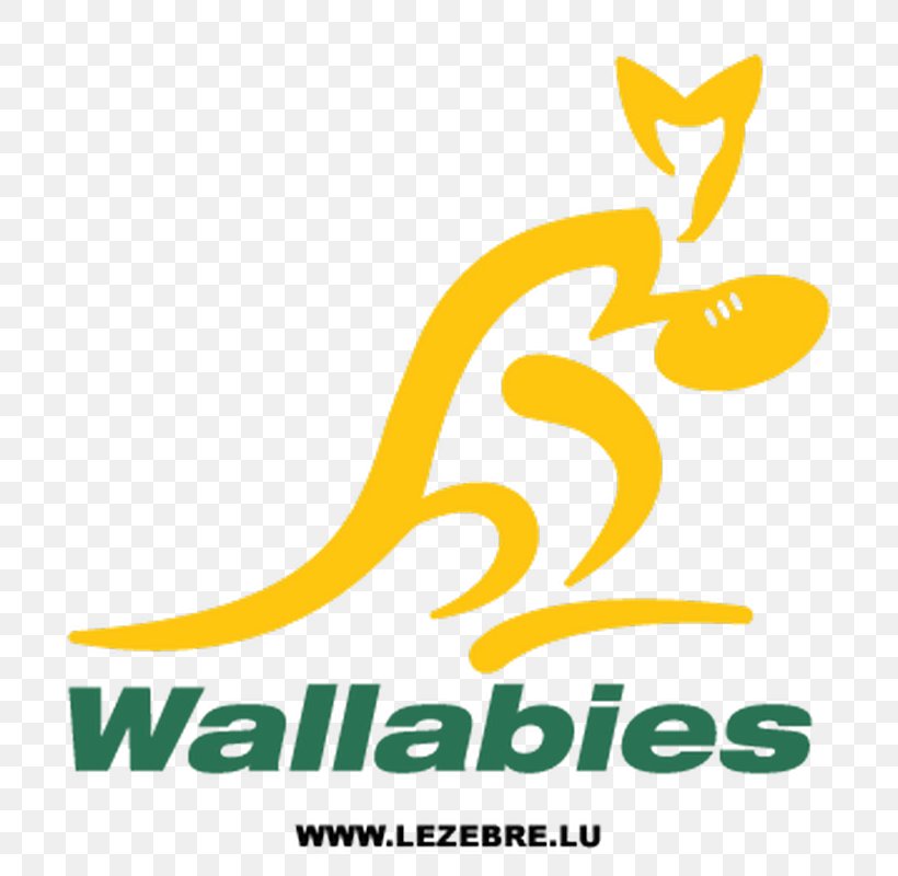 Australia National Rugby Union Team Logo Australia Rugby Wallabies Bumper Sticker 4X4, PNG, 800x800px, Australia National Rugby Union Team, Area, Artwork, Australia, Brand Download Free