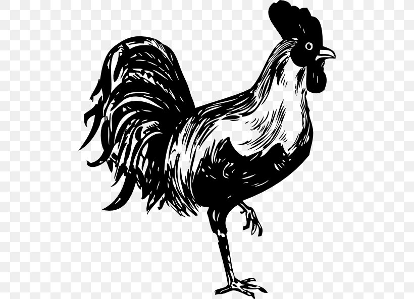 Chicken Rooster Clip Art, PNG, 510x593px, Chicken, Beak, Bird, Black And White, Drawing Download Free