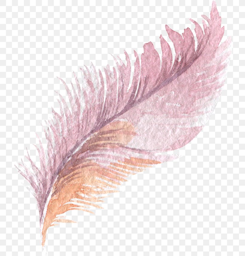 Feather Download Cartoon, PNG, 735x855px, Feather, Cartoon, Drawing, Eyelash, Feathered Dinosaur Download Free