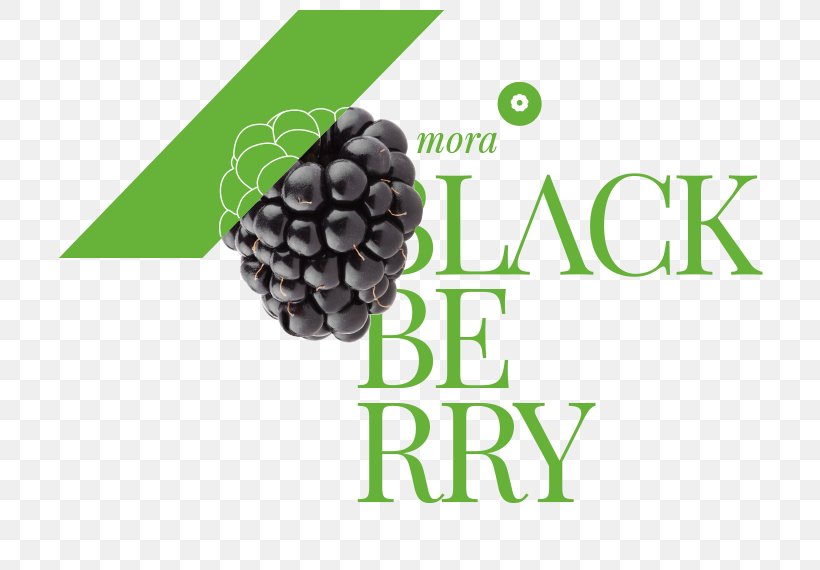 Fruit Production Amora Blackberry, PNG, 712x570px, Fruit, Amora, Berry, Blackberry, Brand Download Free
