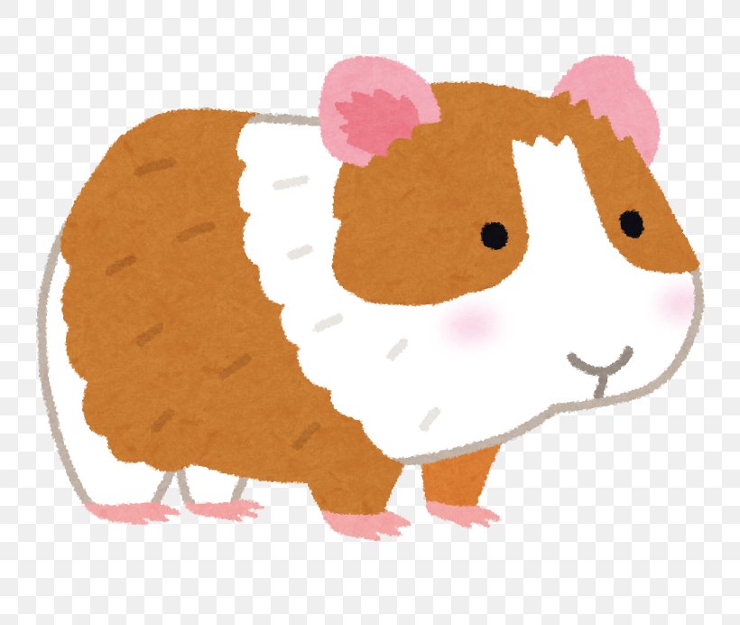 Guinea Pig Cat Hamster Dog いらすとや, PNG, 777x692px, Guinea Pig, Animal, Carnivoran, Cat, Child Download Free