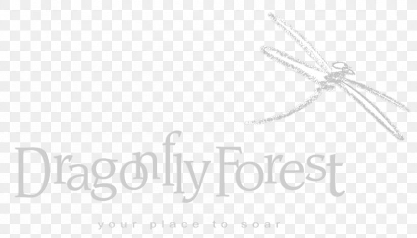 Logo Brand Font Dragonfly Forest Design, PNG, 899x514px, Logo, Area, Artwork, Black, Black And White Download Free