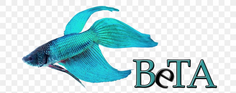 Siamese Fighting Fish Butterfly Tail Butterfly Koi Veiltail, PNG, 1200x476px, Siamese Fighting Fish, Animal, Aqua, Aquarium, Aquariums Download Free