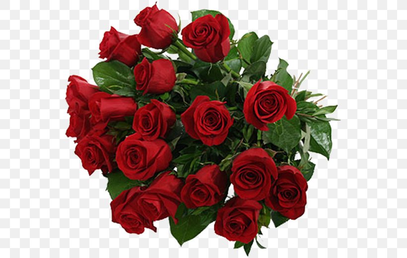 Birthday Flower Bouquet Rose Floristry, PNG, 567x520px, Birthday, Artificial Flower, Cut Flowers, Floral Design, Floribunda Download Free