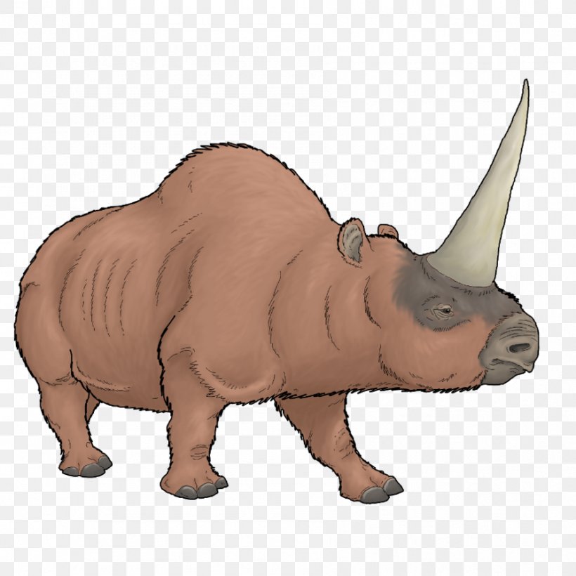 Elasmotherium Sibiricum Horn Javan Rhinoceros Rhinocerotoidea, PNG, 894x894px, Elasmotherium, Animal, Animal Figure, Canine Tooth, Cattle Like Mammal Download Free