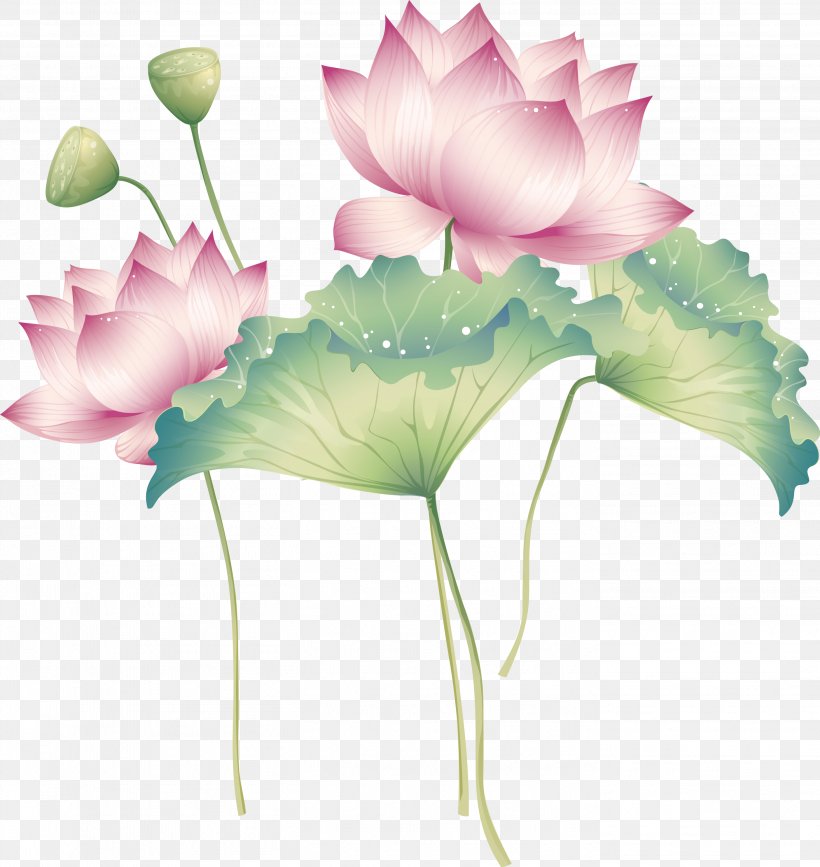 Vector Exquisite Lotus, PNG, 2811x2973px, Art, Aquatic Plant, Art Exhibition, Artist, Cut Flowers Download Free