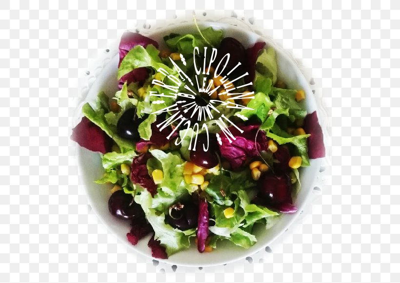 Vegetarian Cuisine Salad Recipe Leaf Vegetable Food, PNG, 561x581px, Vegetarian Cuisine, Dish, Food, La Quinta Inns Suites, Leaf Vegetable Download Free