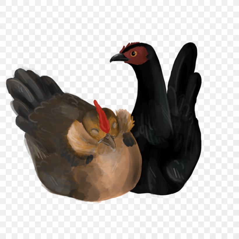 Chicken As Food Rooster Drawing Stuffing, PNG, 894x894px, Chicken, Beak, Bird, Chicken As Food, Deviantart Download Free