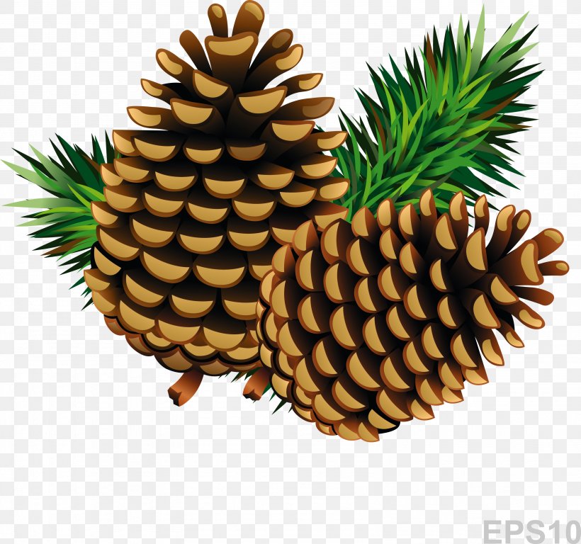 Conifer Cone Pine, PNG, 3174x2974px, Conifer Cone, Ananas, Cartoon, Cedar, Cone Download Free