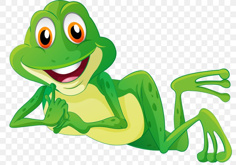 Frog Stock Photography Clip Art, PNG, 800x574px, Frog, Amphibian, Book, Can Stock Photo, Cartoon Download Free