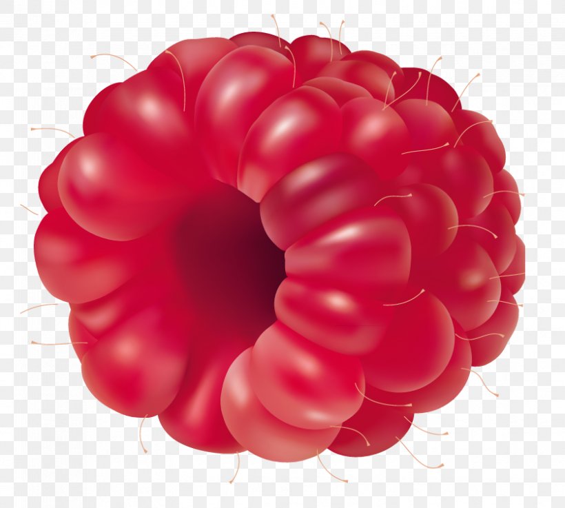 Raspberry Fruit Clip Art, PNG, 838x754px, Raspberry, Balloon, Berry, Fruit, Frutti Di Bosco Download Free