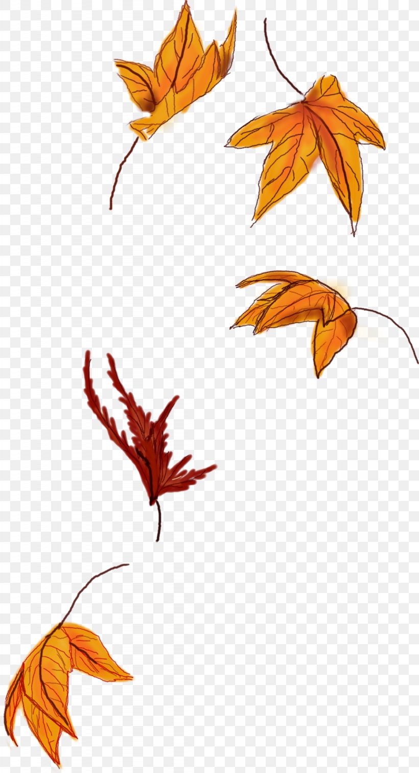 Autumn Leaf Color Autumn Leaf Color Maple Leaf Sticker, PNG, 1127x2079px, Leaf, Art, Autumn, Autumn Leaf Color, Color Download Free