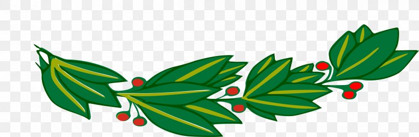 Branch Bay Laurel Laurel Wreath Clip Art, PNG, 2400x789px, Branch, Bay Laurel, Flowering Plant, Fruit, Grass Download Free