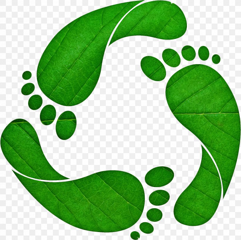 Green Leaf Clip Art Plant Symbol, PNG, 1755x1746px, Green, Leaf, Legume, Plant, Symbol Download Free