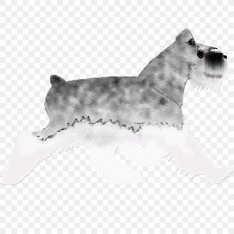 Miniature Schnauzer Lakeland Terrier Cairn Terrier Glen Cesky Terrier, PNG, 1200x1200px, Miniature Schnauzer, Breed, Cairn Terrier, Carnivoran, Cesky Terrier Download Free