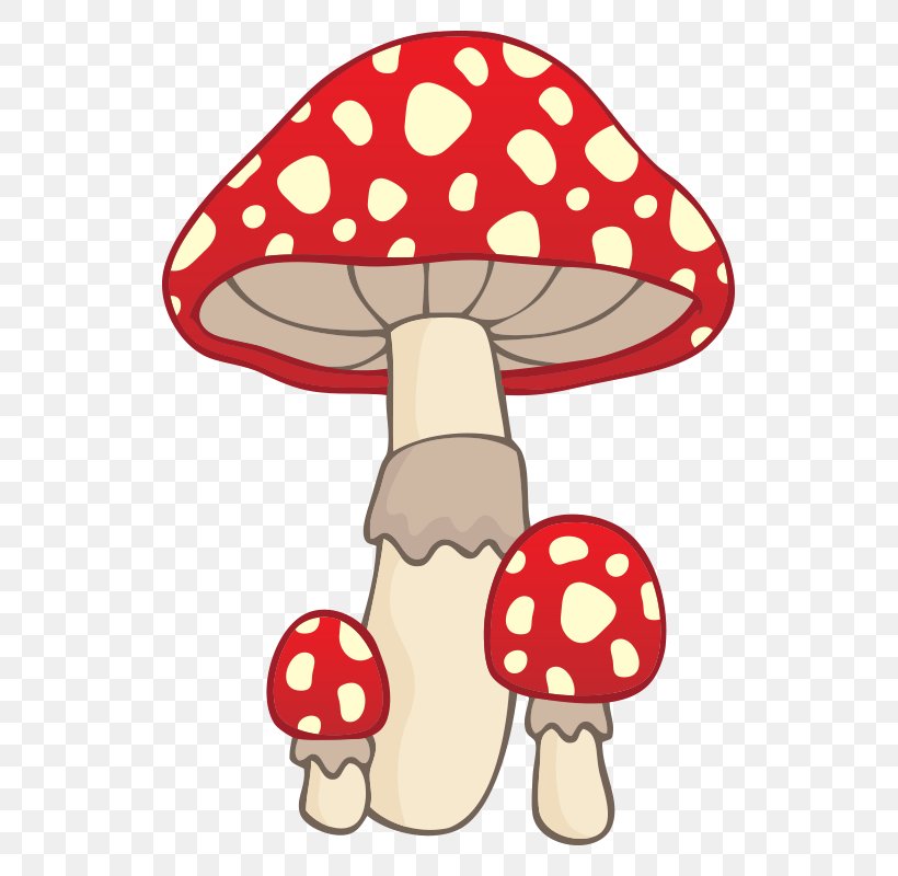 Mushroom Illustration, PNG, 800x800px, Mushroom, Cartoon, Common Mushroom, Drawing, Fashion Accessory Download Free