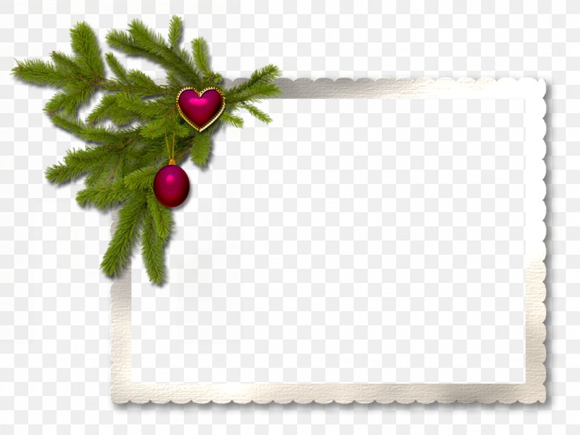 Picture Frames Christmas Decoration New Year Birthday, PNG, 1024x768px, Picture Frames, Birthday, Branch, Christmas, Christmas Decoration Download Free