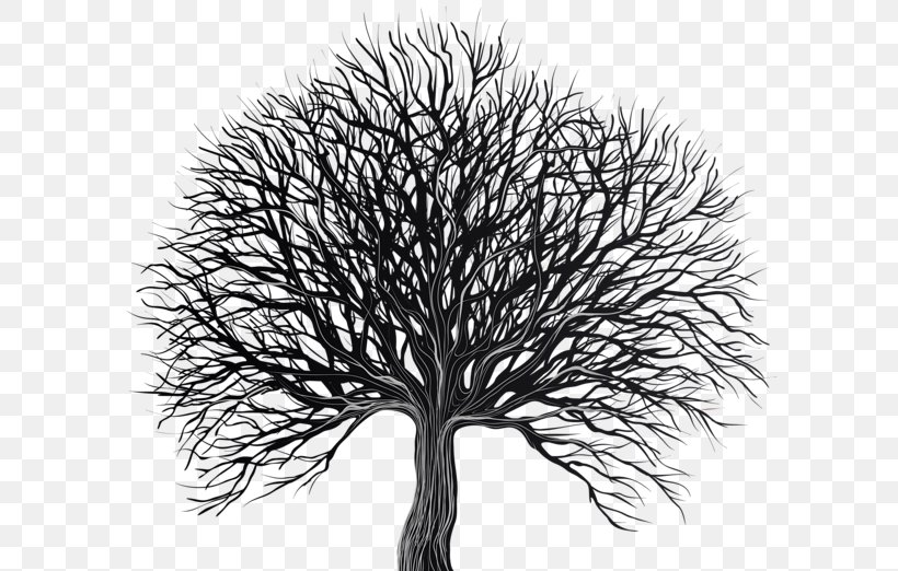 Stock Photography Vector Graphics Clip Art Illustration, PNG, 600x522px, Stock Photography, Black And White, Branch, Drawing, Fotosearch Download Free