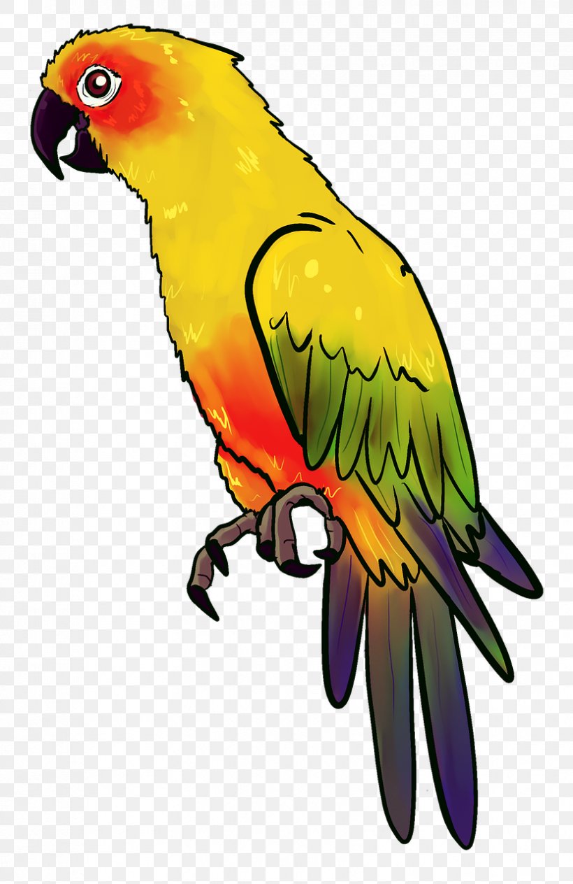 Bird Parrot Illustration, PNG, 830x1280px, Bird, Animal, Beak, Common Pet Parakeet, Fauna Download Free