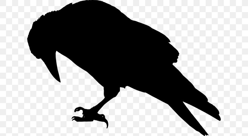 Common Raven Silhouette Bird Clip Art, PNG, 640x449px, Common Raven, Beak, Bird, Black And White, Crow Download Free