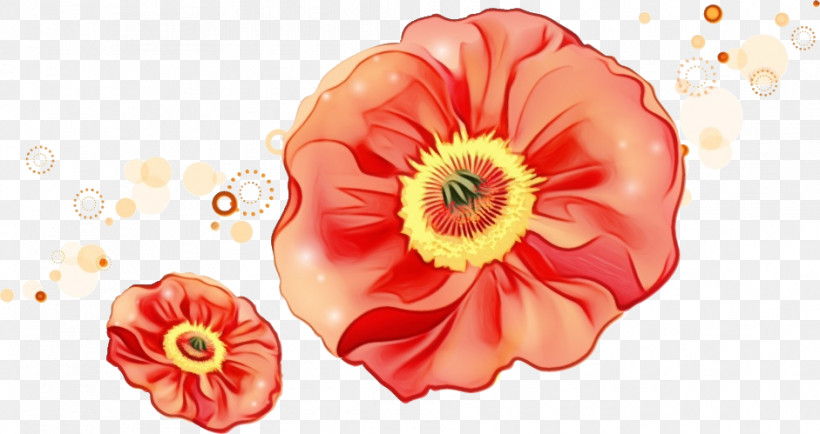 Floral Design, PNG, 941x499px, Watercolor, Anemone, Coquelicot, Corn Poppy, Cut Flowers Download Free