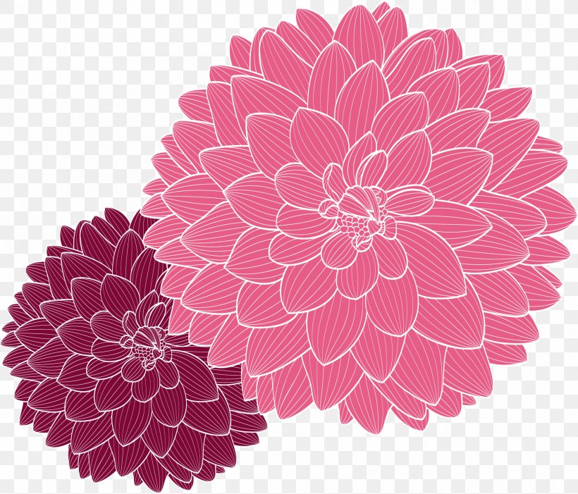 Premium Vector  Drawn outline dahlia flowers isolated on a white  background vector illustration