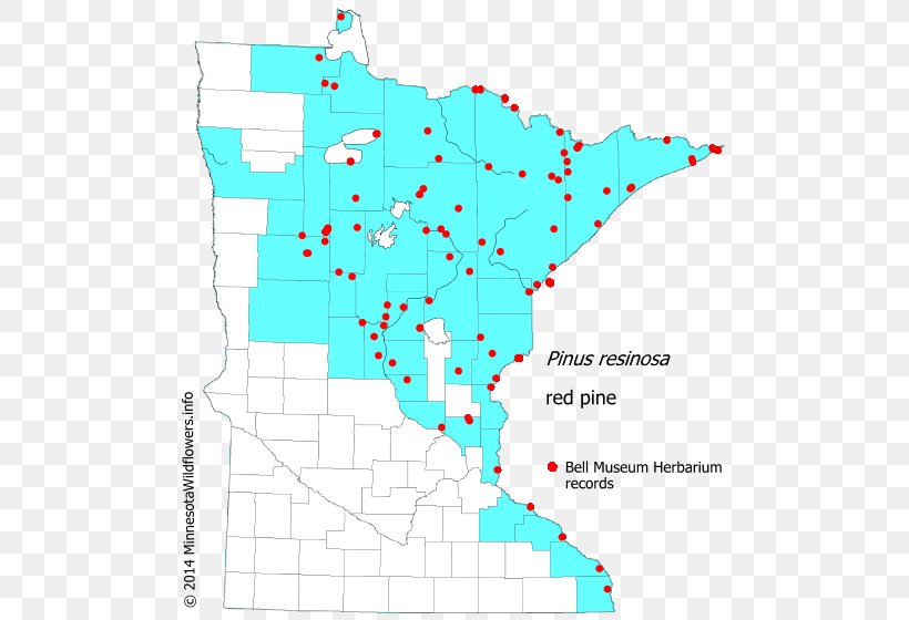 Line Point Angle Map Tuberculosis, PNG, 500x560px, Point, Area, Diagram, Map, Tuberculosis Download Free