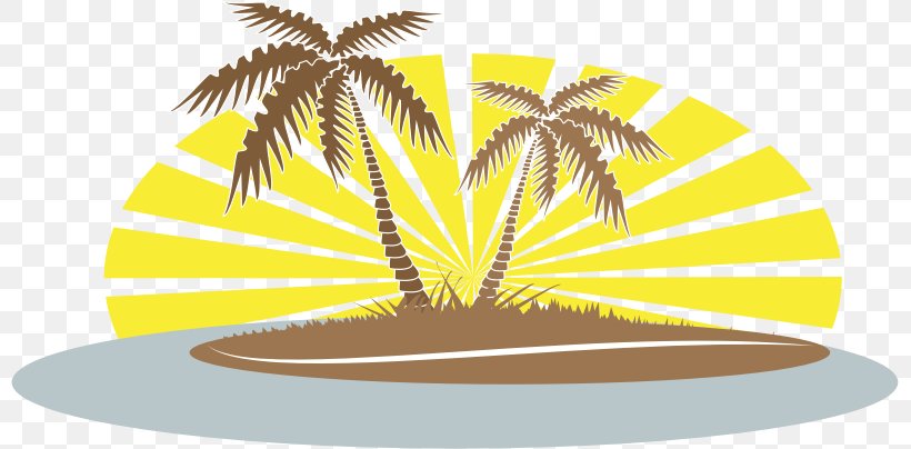 Coconut Drawing Arecaceae Clip Art, PNG, 799x404px, Coconut, Arecaceae, Arecales, Bouvet Island, Date Palm Download Free
