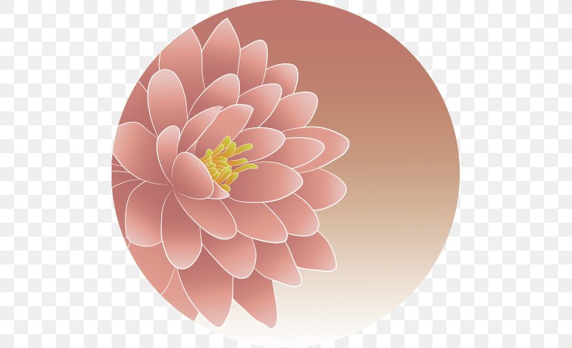 Dahlia Pink M Floral Design RTV Pink, PNG, 500x500px, Dahlia, Floral Design, Flower, Flowering Plant, Peach Download Free