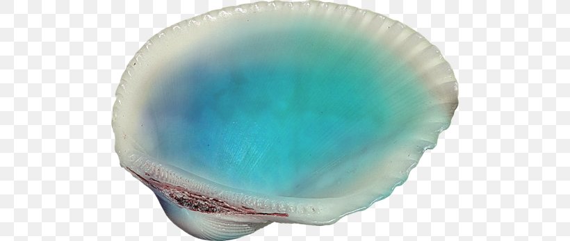 Mussel Bivalvia Castle Of Glass, PNG, 500x347px, Mussel, Aqua, Bivalvia, Castle Of Glass, Glass Download Free