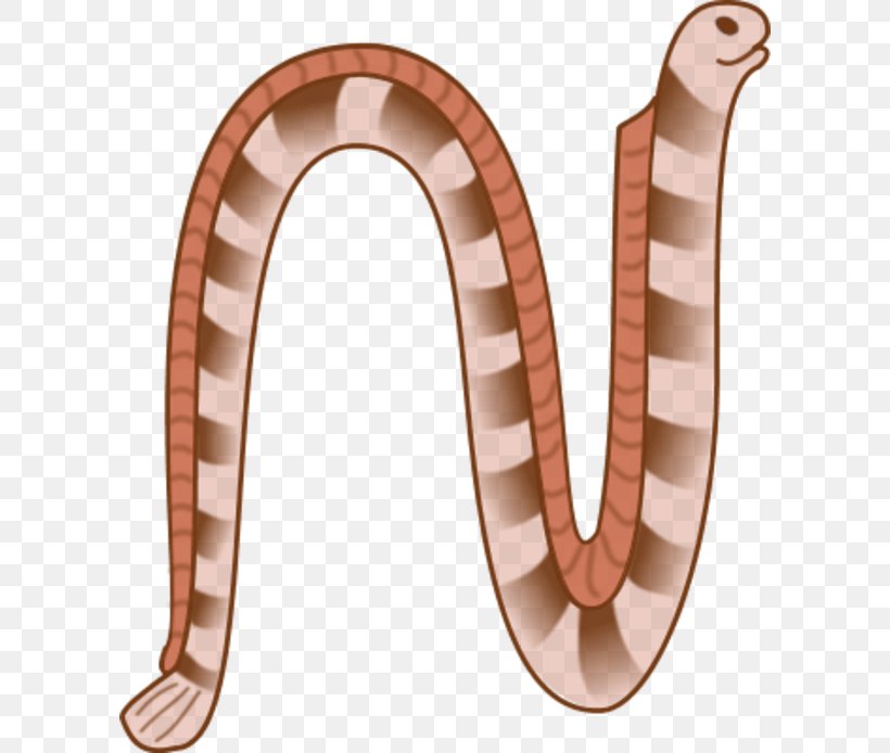 Snakes Yellow-lipped Sea Krait Clip Art, PNG, 600x694px, Snakes, Animal, Bashe, Cartoon, Copper Download Free