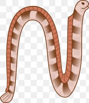 Clipart Snake - Snakes Yellow-lipped Sea Krait Clip Art PNG