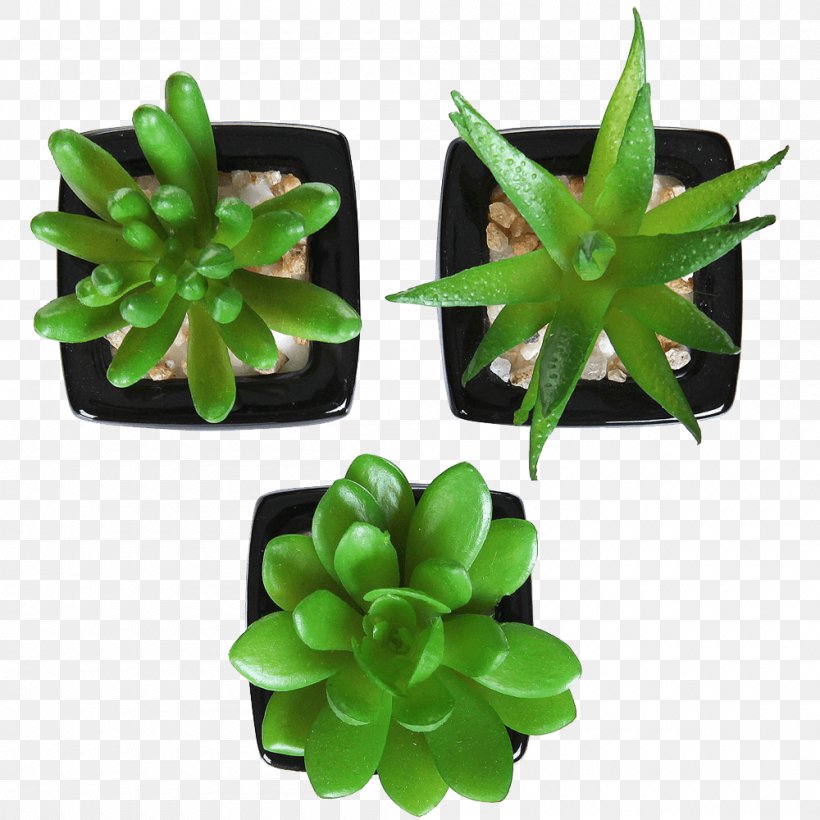Succulent Plant Artificial Flower Houseplant Flowerpot, PNG, 1000x1000px, Plant, Artificial Flower, Bathroom, Ceramic, Clay Download Free