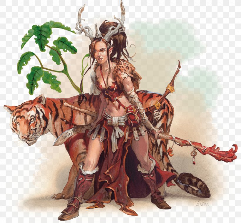 The Complete Druid's Handbook Dungeons & Dragons Online Wizard, PNG, 1000x926px, Druid, Barbarian, Cleric, Dungeons Dragons, Dungeons Dragons Online Download Free