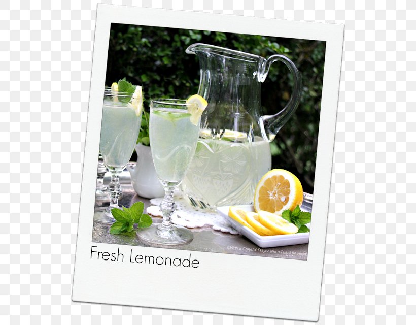 Gin And Tonic Table-glass Lemonade, PNG, 549x640px, Gin And Tonic, Barware, Drink, Drinkware, Gin Download Free