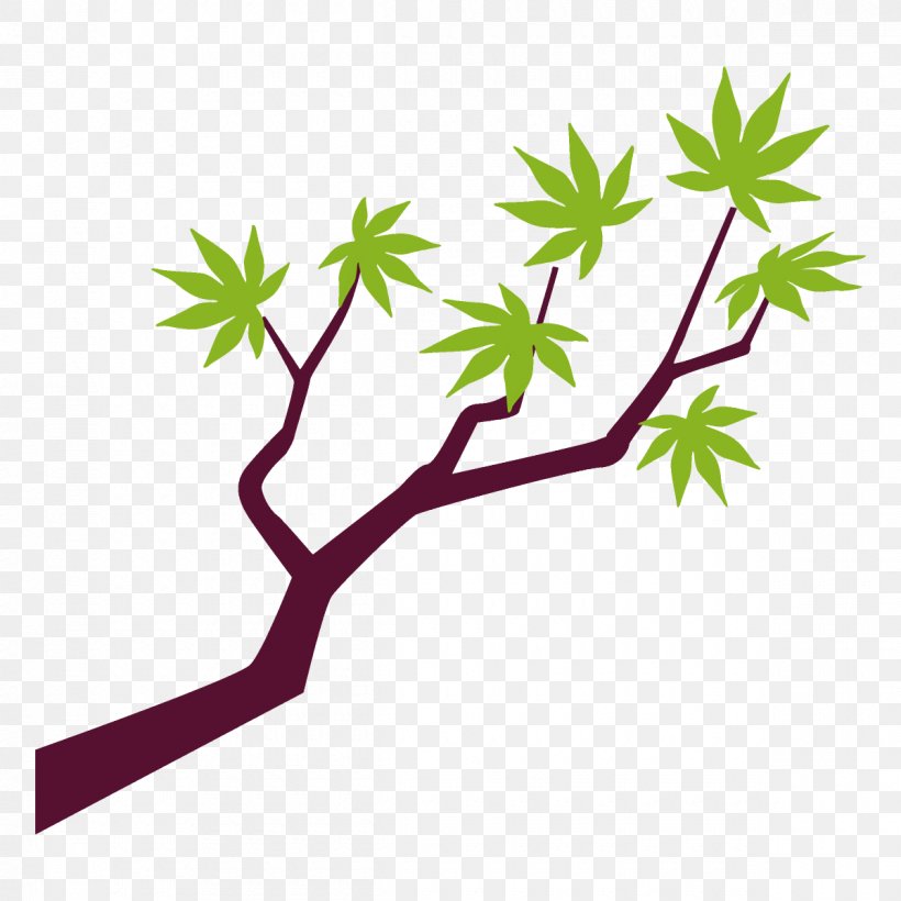 Maple Branch Maple Leaves Maple Tree, PNG, 1200x1200px, Maple Branch, Branch, Flower, Leaf, Maple Leaves Download Free