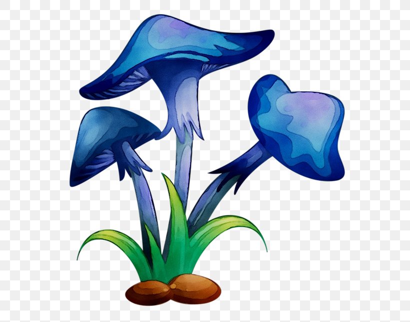 Plants Vector Graphics Clip Art Illustration Shrub, PNG, 600x643px, Plants, Cactus, Electric Blue, Flower, Iris Download Free