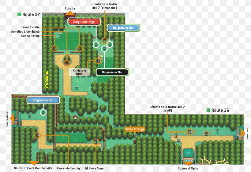 Pokémon HeartGold And SoulSilver Pokémon Gold And Silver Kanto Johto, PNG, 800x560px, Pokemon, Area, Electrical Network, Grass, Hoenn Download Free
