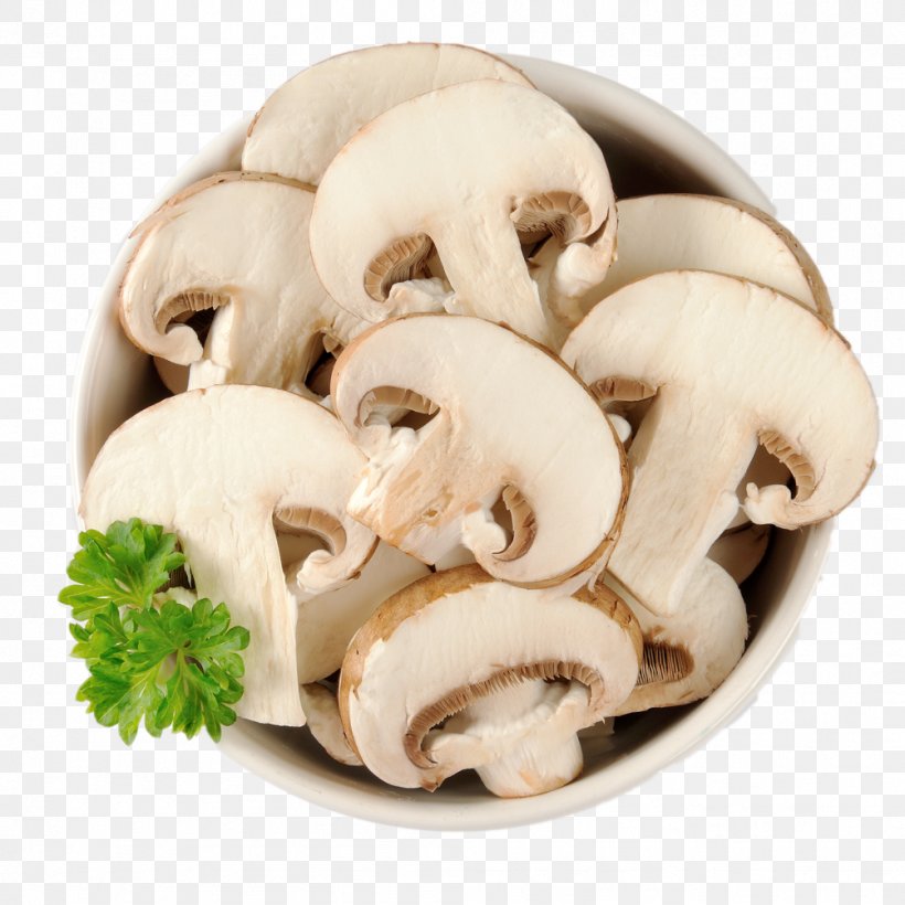 Common Mushroom Food Shutterstock Eating, PNG, 1003x1003px, Mushroom, Advertising, Advertising Agency, Agaricaceae, Champignon Mushroom Download Free