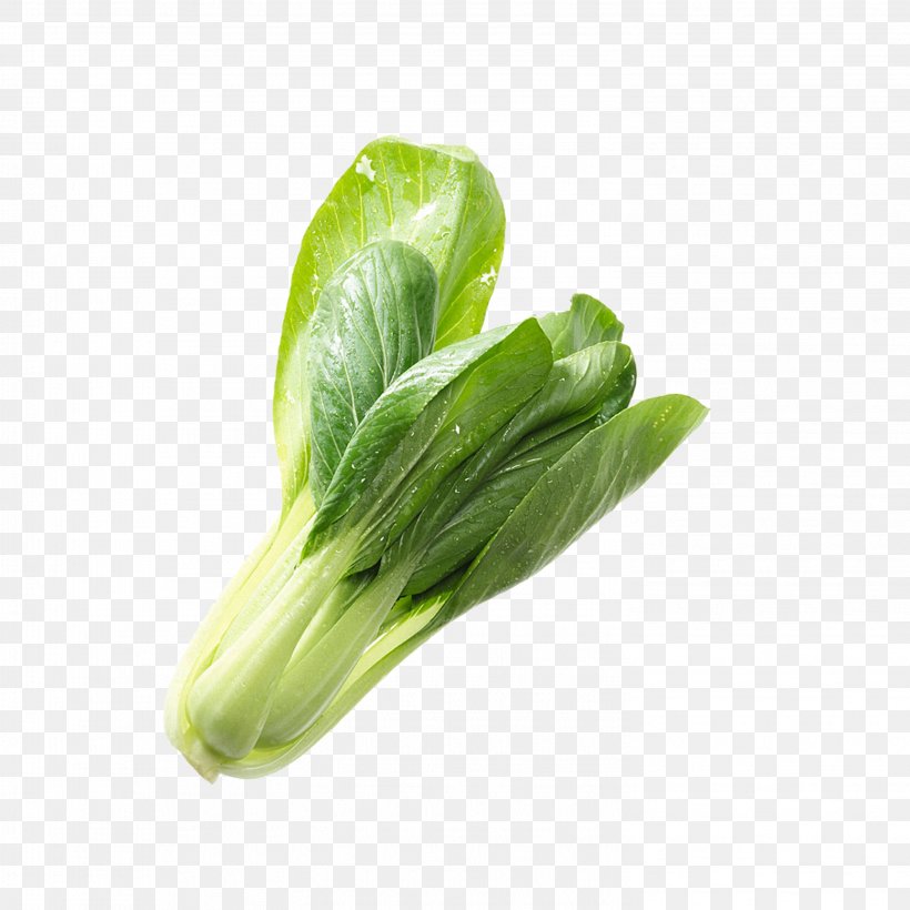 Napa Cabbage Romaine Lettuce Komatsuna Choy Sum Vegetable, PNG, 2953x2953px, Napa Cabbage, Cabbage, Chard, Choy Sum, Food Download Free