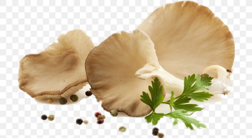 Oyster Mushroom Food Edible Mushroom, PNG, 708x449px, Oyster Mushroom, Edible Mushroom, Food, Fungus, Ingredient Download Free