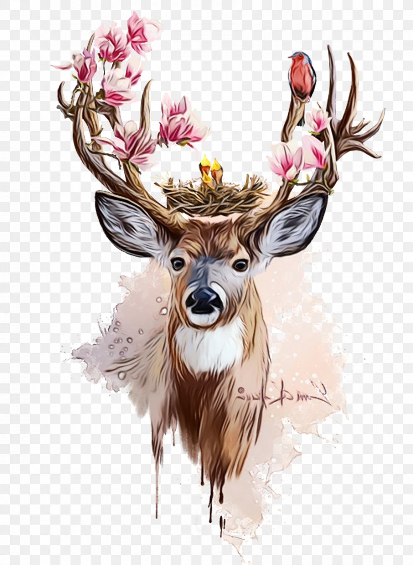Reindeer Png 900x1230px Watercolor Antler Deer Drawing Elk