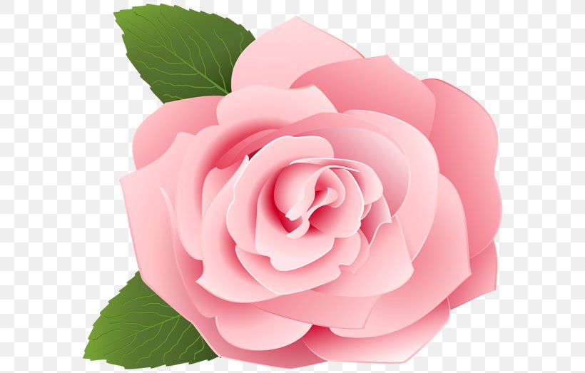 Garden Roses Centifolia Roses Drawing Clip Art, PNG, 600x523px, Garden Roses, Art, Art Museum, Camellia, Cartoon Download Free