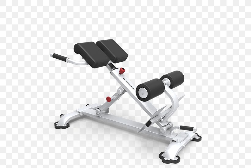 Hyperextension Bench Roman Chair Fitness Centre Strength Training, PNG, 800x550px, Hyperextension, Bench, Bench Press, Biceps, Dip Download Free
